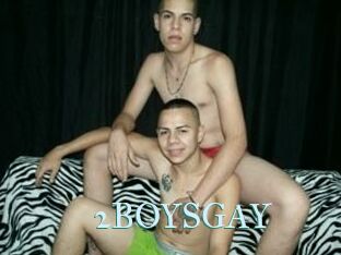 2BOYS_GAY