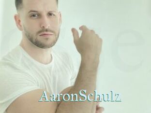 AaronSchulz