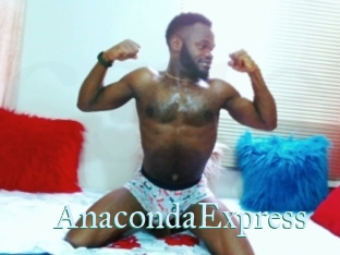 AnacondaExpress