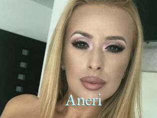 Aneri