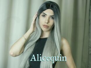 Alicequin