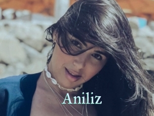 Aniliz