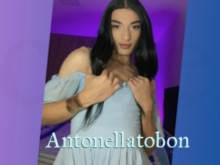 Antonellatobon