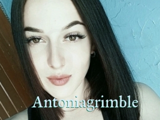 Antoniagrimble