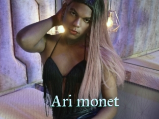 Ari_monet