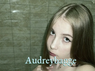 Audreybagge