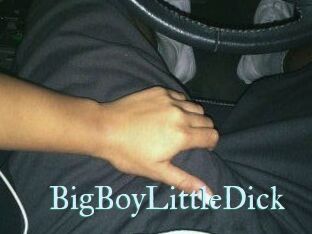 BigBoyLittleDick