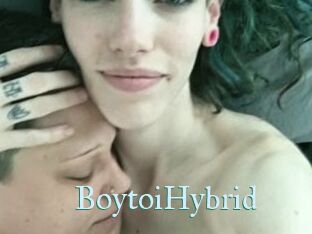 BoytoiHybrid