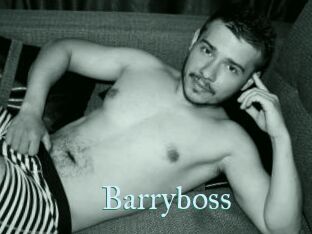 Barryboss