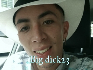 Big_dick23