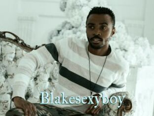 Blakesexyboy