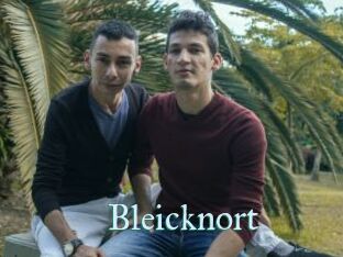 Bleicknort