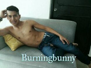 Burningbunny