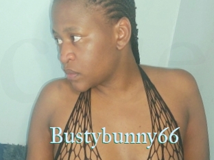 Bustybunny66