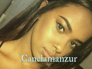 Canelamanzur