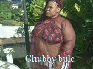 Chubby_bule