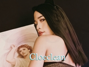 Cloeclean