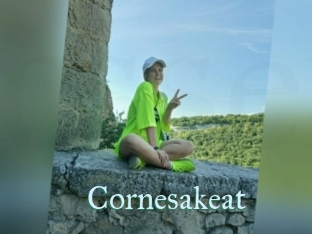 Cornesakeat