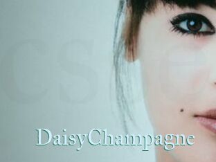 DaisyChampagne