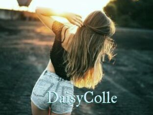 DaisyColle