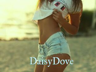 DaisyDove