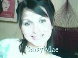 Daisy_Mae