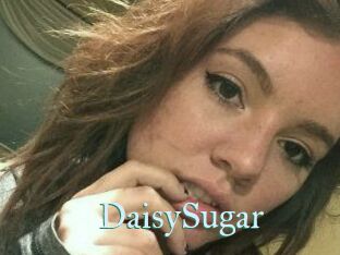 Daisy_Sugar