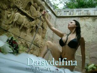 Daisydelfina