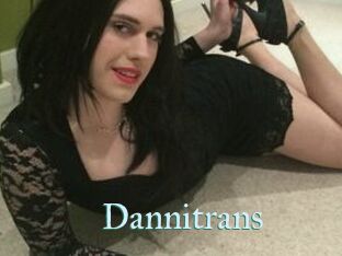 Danni_trans