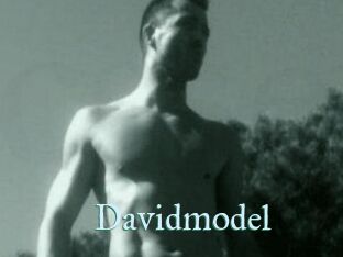 Davidmodel