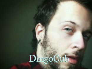 DingoCub