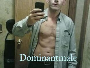 Dominantmale