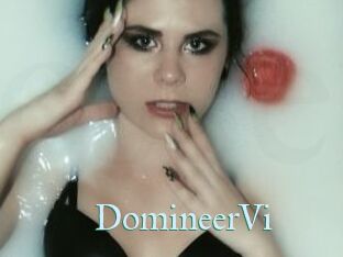 DomineerVi