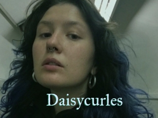 Daisycurles