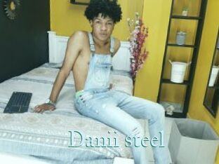 Danii_steel