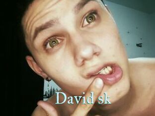 David_sk