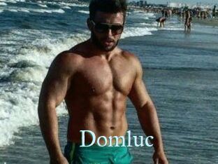 Domluc