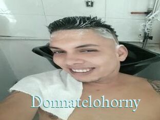 Donnatelohorny