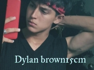 Dylan_brown15cm