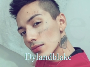 Dylandblake