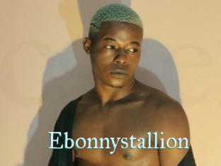 Ebonnystallion