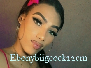 Ebonybiigcock22cm