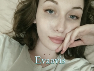 Evaavis