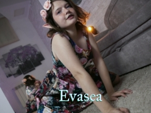 Evasea