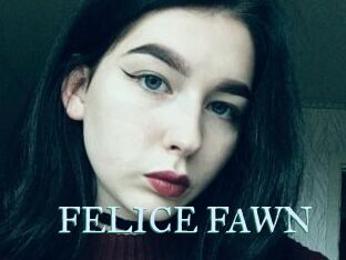 FELICE_FAWN