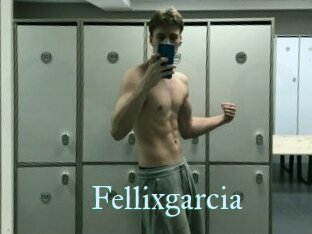 Fellixgarcia