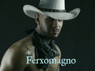 Ferxomagno