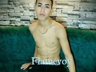 Flamevoy