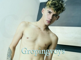 Gropingvoys