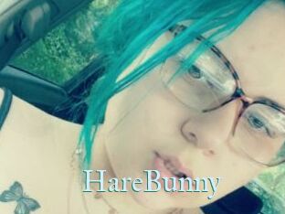 HareBunny